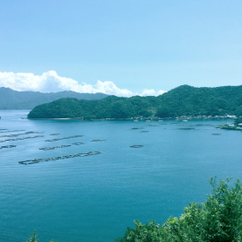 蒋渕活性化プロジェクト